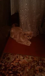 20100101_016.webp