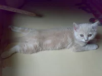 23072009860.webp