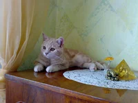 12102009968.webp