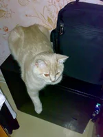 13102009976.webp