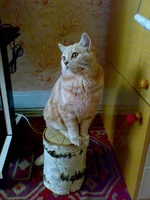 011120091065.webp