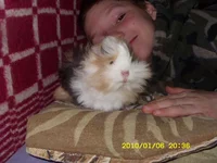 SN855908.webp