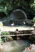 1___Gt (27).webp 1___Gt (27).webp