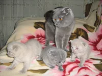 004.webp