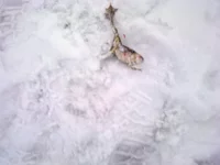 160120101706.webp
