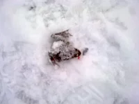 160120101708.webp