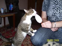 100_2904.jpg