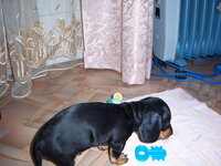 100_6976.jpg
