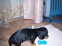 100_6976.webp
