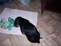 100_6978.webp