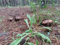 20170521_101716.jpg