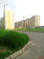 IMG_20170526_185226.webp