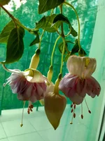 IMG_20170526_182855_HDR.jpg
