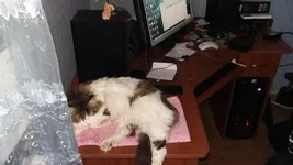 20170106_181350.webp