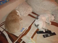 2012-10-28 21.17.03.webp