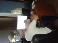 20150113_203726.webp