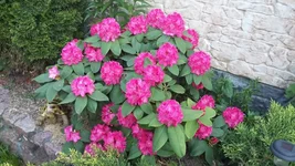20170526_195507.webp