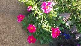 20170525_173749.jpg
