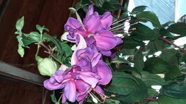 20160620_180708.jpg
