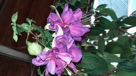 20160620_180708.webp