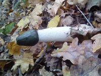 в.jpg