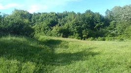 20170604_174519.jpg