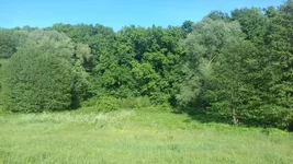 20170604_174505.webp