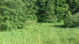 20170604_174155.jpg