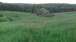 20170605_203814.jpg