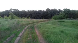 20170605_203822.jpg