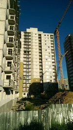 IMAG0839.webp