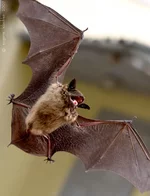 _DSC6043_2.webp