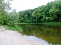 IMG_20170602_174544.jpg