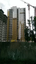 IMAG0865.webp