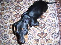 100_6989.webp