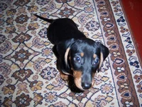 100_6990.webp
