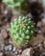 DSC_0211.JPG