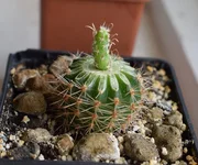 DSC_0228.JPG