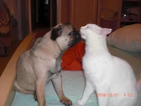 middle_CIMG0329.webp