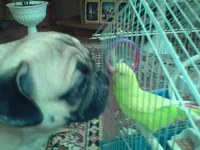 middle_DSC00483.webp