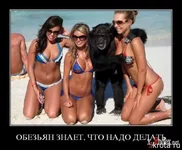 .webp