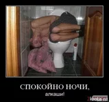.webp