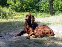 k pogruzke.webp