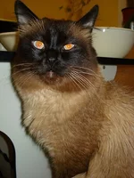b1DSC09602.webp