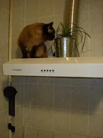 b2DSC09516.webp