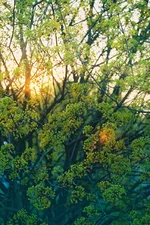 000032.webp