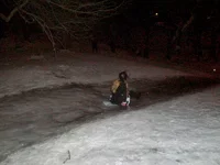 P1214336.webp