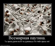 181492_vsemirnaya-pautina.jpg