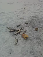 24022009684.webp