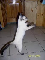 04.webp